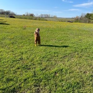 Meet your Posher, Katelyn